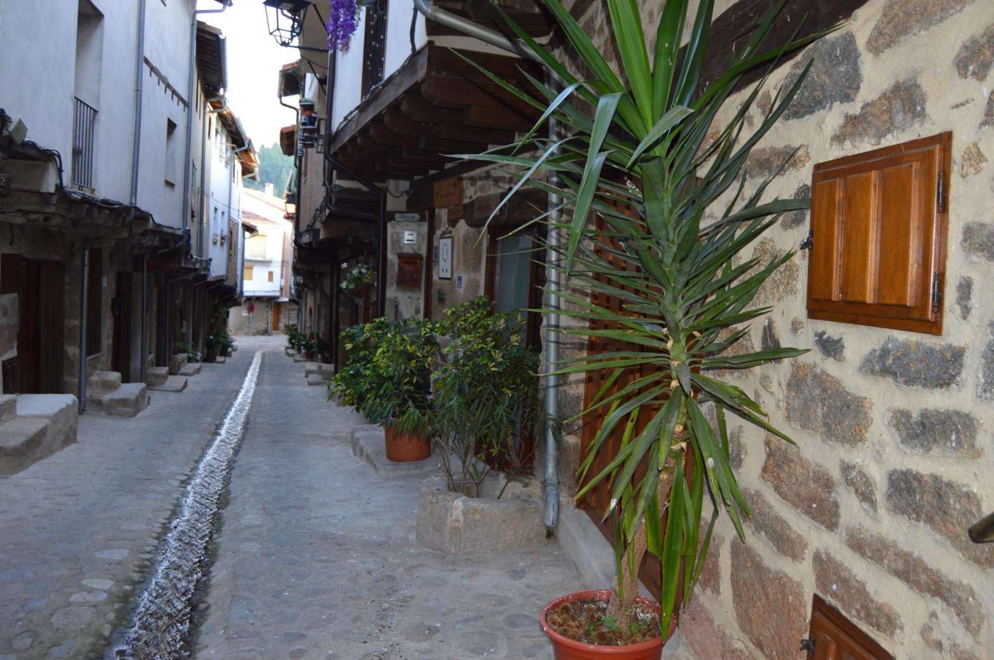 Casa Apartamento Rural As Andurinas سان مارتن دي تريفيخو المظهر الخارجي الصورة